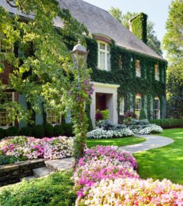 Ngôi biệt thự trở nên lãng mạn với khu vườn và lối đi tràn ngập sắc hoa